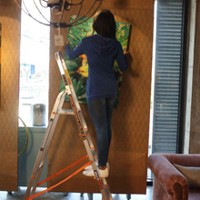 Eurostar Freiheit 5-Tier Platform Ladder (5 feet ladder)