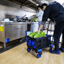 Heavy-Duty 2-in-1 Foldable Hand Truck Trolley | Aluminum Material Handling Cart | 137kg Capacity – Liberti