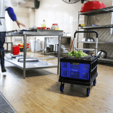 Compact Foldable Platform Hand Truck Trolley with Brakes | 136kg Load Capacity | 4-Inch Wheels – Liberti - FW-99F