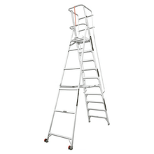 Liberti Aluminium 10' Hulk Ladder